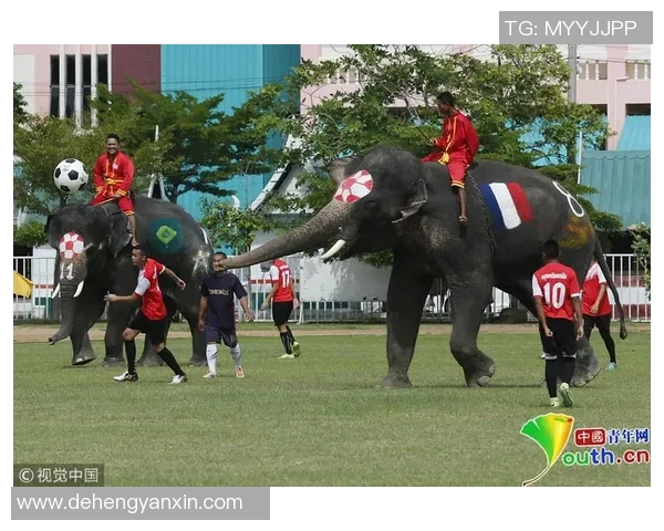泰国足球第一球星排名揭秘 谁是当今泰国足坛的顶级球员